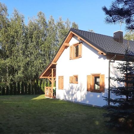 Domek Caloroczny Nad Jeziorem Budzislawskim, Wielkopolska Na Wynajem Anastazewo Ngoại thất bức ảnh
