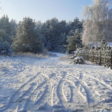 Domek Caloroczny Nad Jeziorem Budzislawskim, Wielkopolska Na Wynajem Anastazewo Ngoại thất bức ảnh
