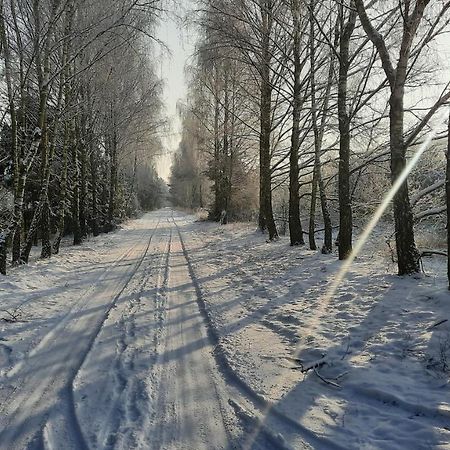 Domek Caloroczny Nad Jeziorem Budzislawskim, Wielkopolska Na Wynajem Anastazewo Ngoại thất bức ảnh