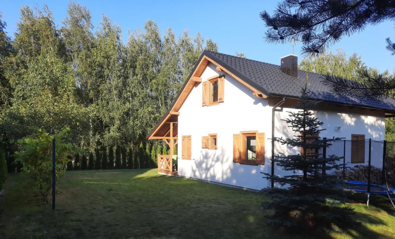 Domek Caloroczny Nad Jeziorem Budzislawskim, Wielkopolska Na Wynajem Anastazewo Ngoại thất bức ảnh