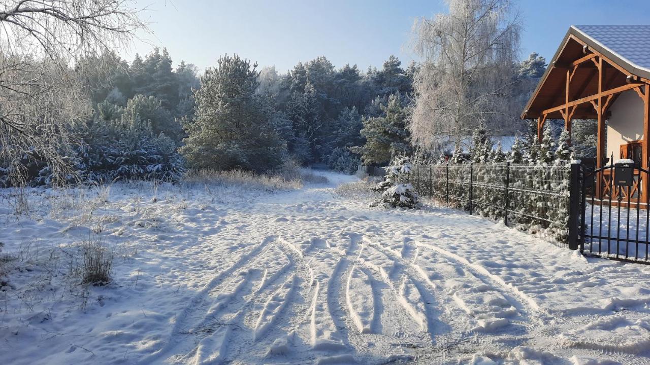 Domek Caloroczny Nad Jeziorem Budzislawskim, Wielkopolska Na Wynajem Anastazewo Ngoại thất bức ảnh