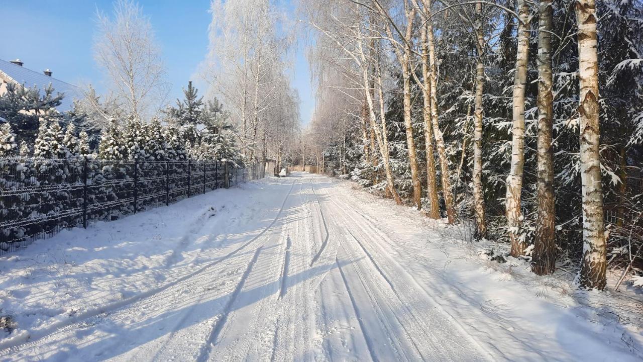 Domek Caloroczny Nad Jeziorem Budzislawskim, Wielkopolska Na Wynajem Anastazewo Ngoại thất bức ảnh